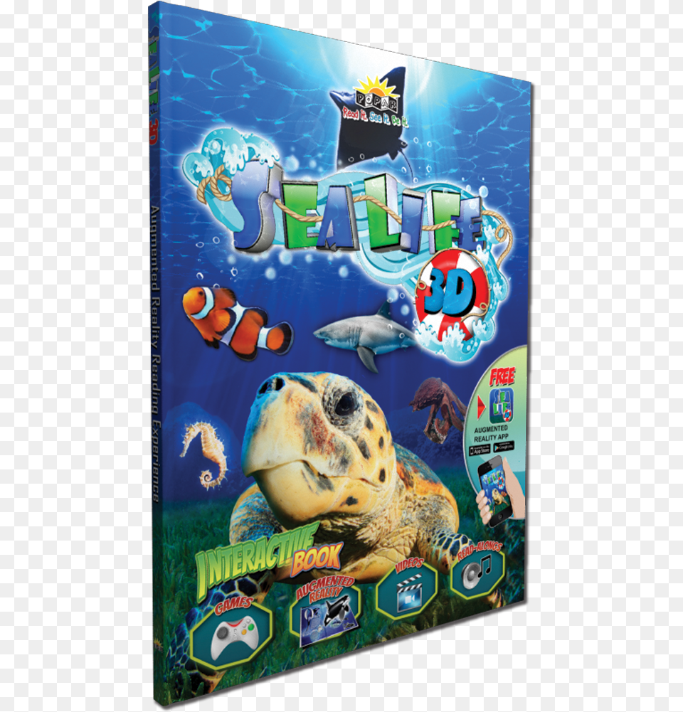 Sea Life 3d Book Sea Life 3d Interactive Book, Animal, Sea Life, Reptile, Turtle Png Image