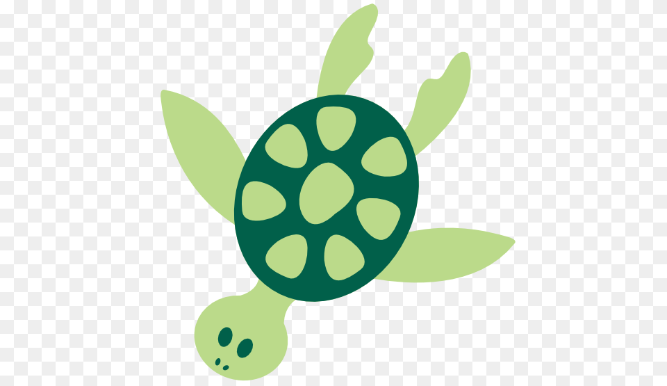 Sea Life Clipart Green Sea Turtle, Animal, Sea Life, Shark, Fish Free Transparent Png