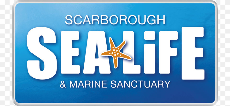 Sea Life Orlando Logo, License Plate, Transportation, Vehicle Png Image