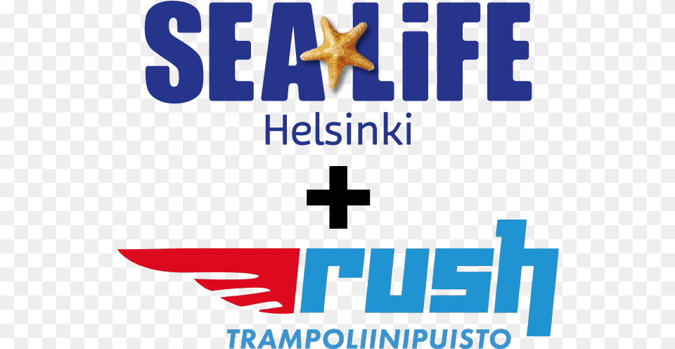 Sea Life Rush Child Sea Life London Logo, Animal, Sea Life, Invertebrate, Starfish Png