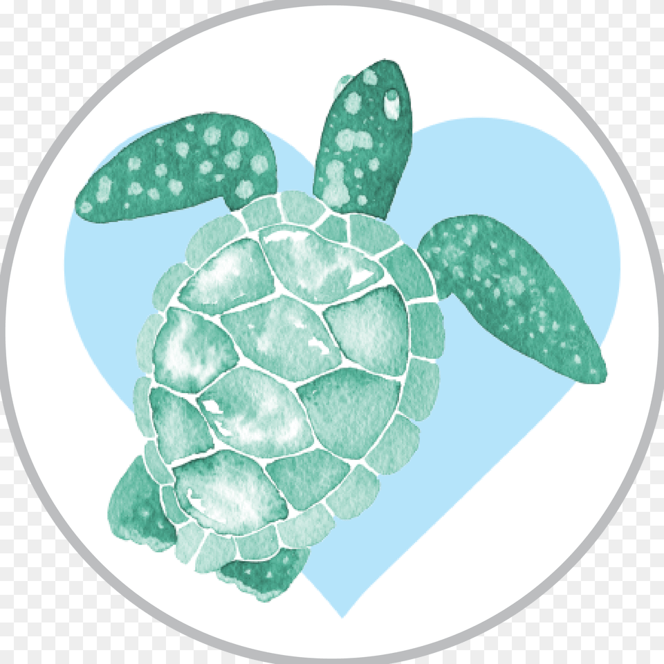 Sea Life Watercolor Download Realistic Turtle Clip Art, Animal, Reptile, Sea Life, Sea Turtle Png
