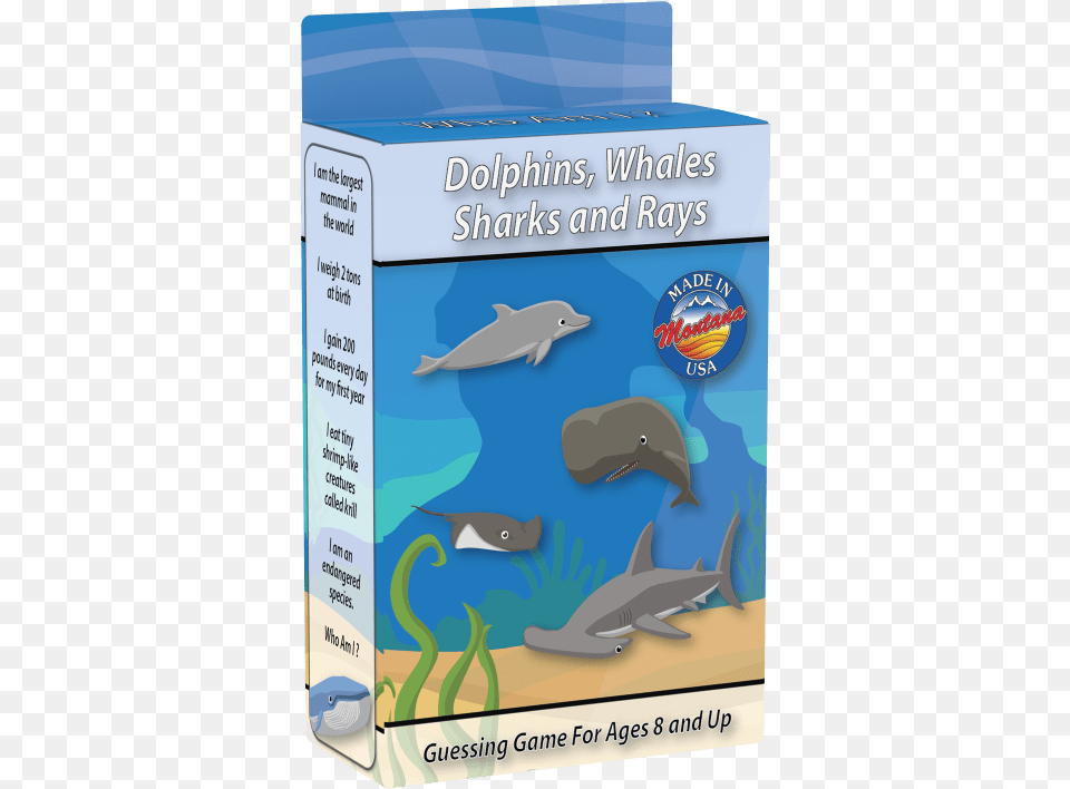 Sea Life Who Am I Travel Card Game, Animal, Dolphin, Mammal, Sea Life Free Png Download