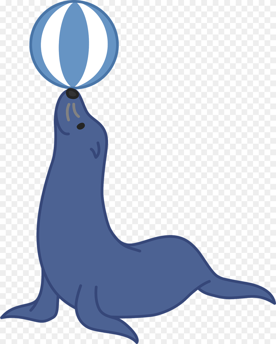 Sea Lion Animal Balancing Ball On Nose Clipart, Dolphin, Mammal, Sea Life, Fish Free Png