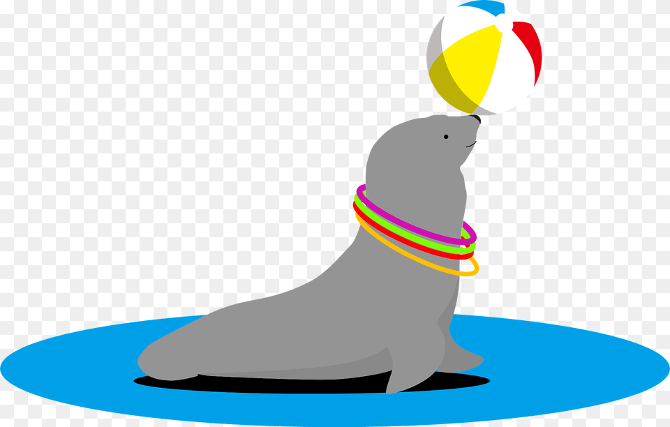 Sea Lion Animal Balancing Ball On Nose Clipart, Volleyball (ball), Volleyball, Sport, Mammal Png Image