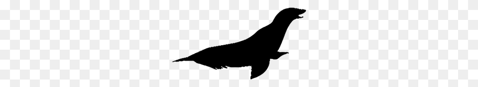 Sea Lion Clip Art, Gray Free Png Download