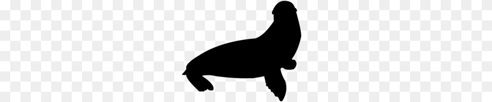 Sea Lion Clip Art, Gray Free Png