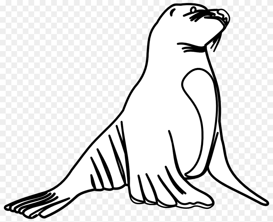 Sea Lion Clip Art, Animal, Mammal, Sea Life, Sea Lion Png