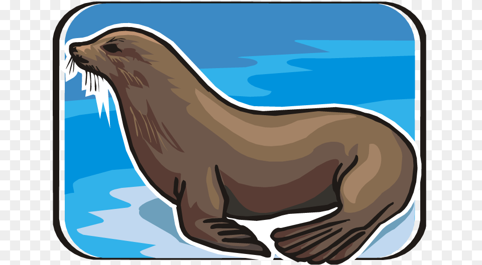 Sea Lion Clip Art Clip Art, Animal, Mammal, Sea Life, Sea Lion Free Png