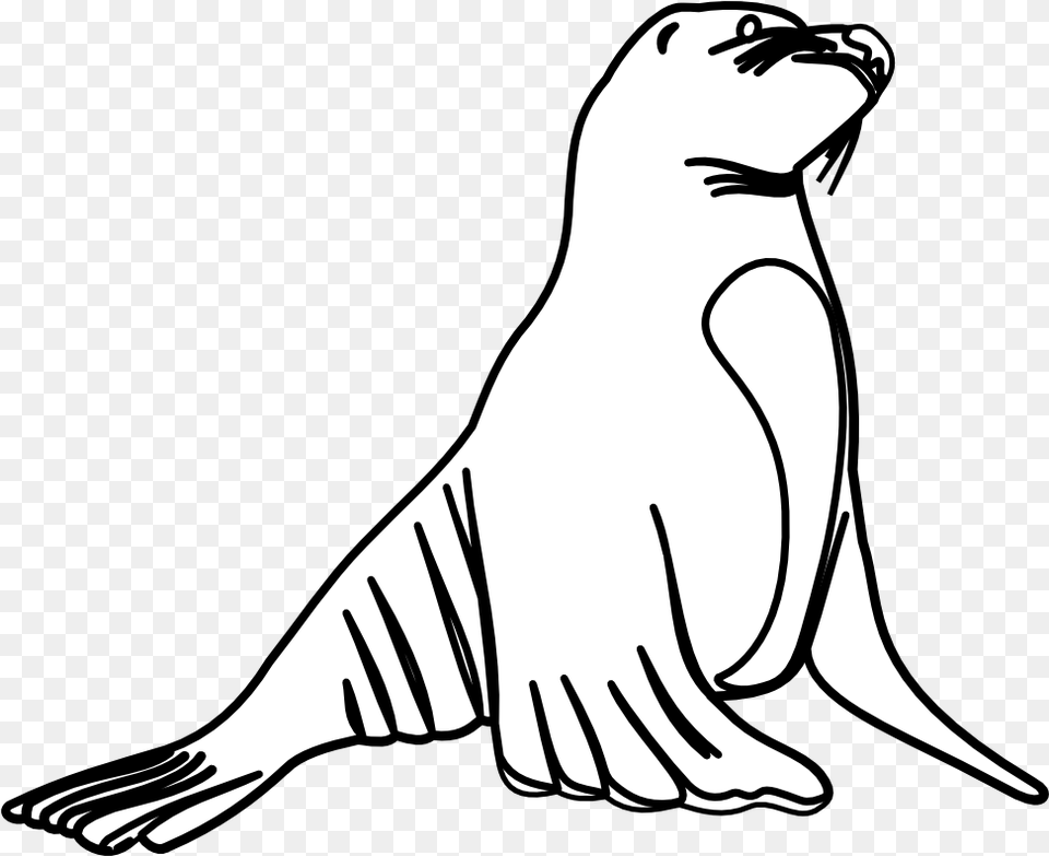 Sea Lion Clip Art Sea Lion Black And White Clipart, Animal, Stencil, Bird Png Image