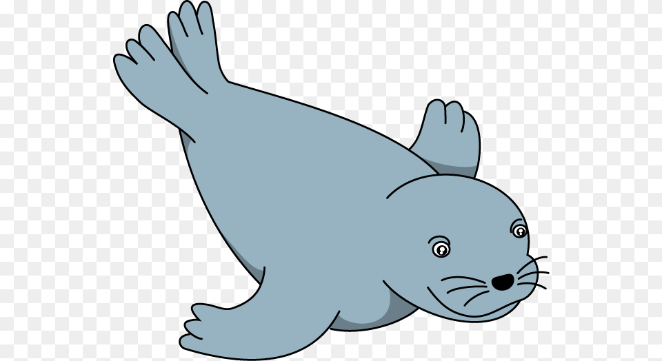 Sea Lion Clipart, Animal, Mammal, Sea Life, Sea Lion Free Transparent Png