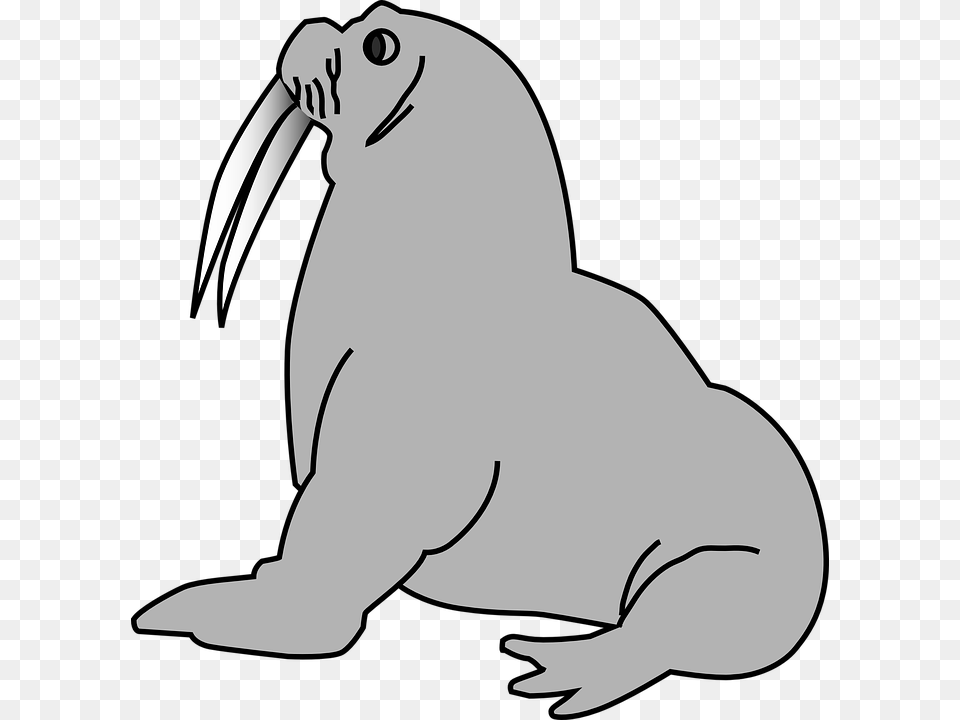 Sea Lion Clipart Animal, Sea Life, Fish, Shark Free Transparent Png