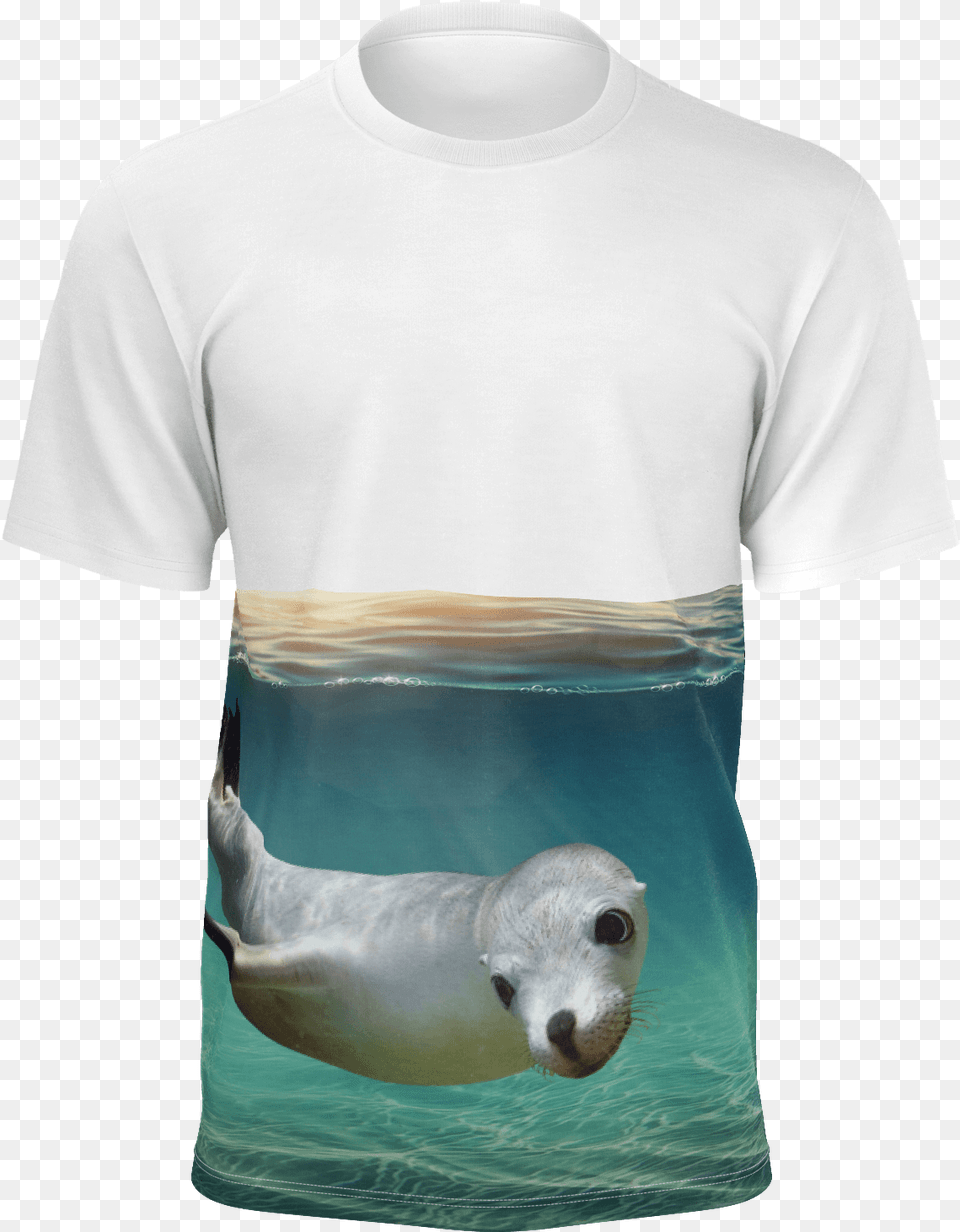Sea Lion Shirt Shirt, T-shirt, Clothing, Sea Lion, Sea Life Free Transparent Png