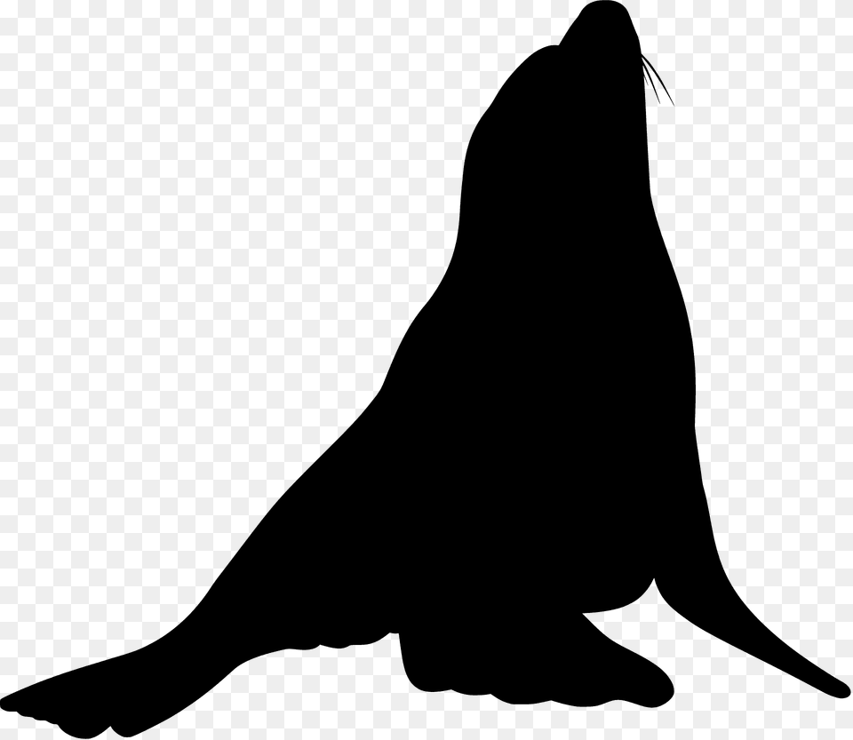 Sea Lion Silhouette, Animal, Mammal, Sea Life, Sea Lion Free Transparent Png