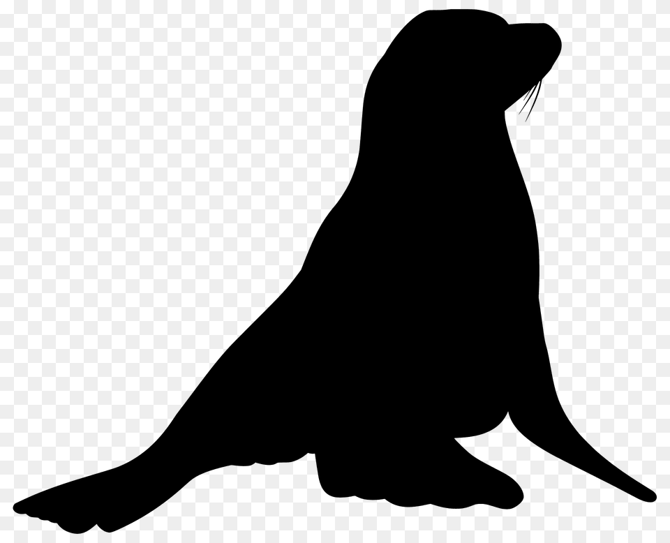 Sea Lion Silhouette, Animal, Mammal, Sea Life, Sea Lion Free Png