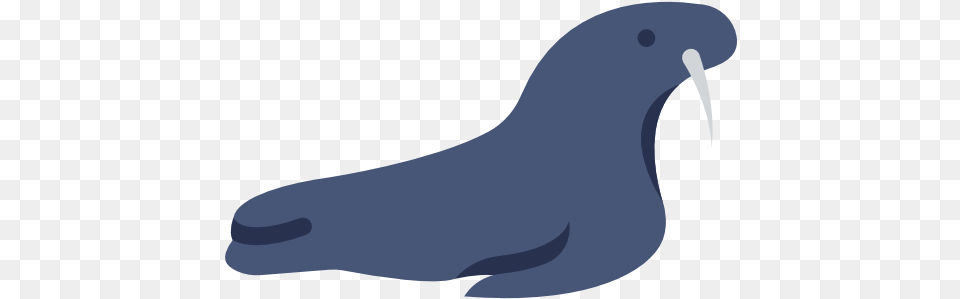 Sea Lion Walrus Computer Icons Parrot, Animal, Beak, Bird, Sea Life Png