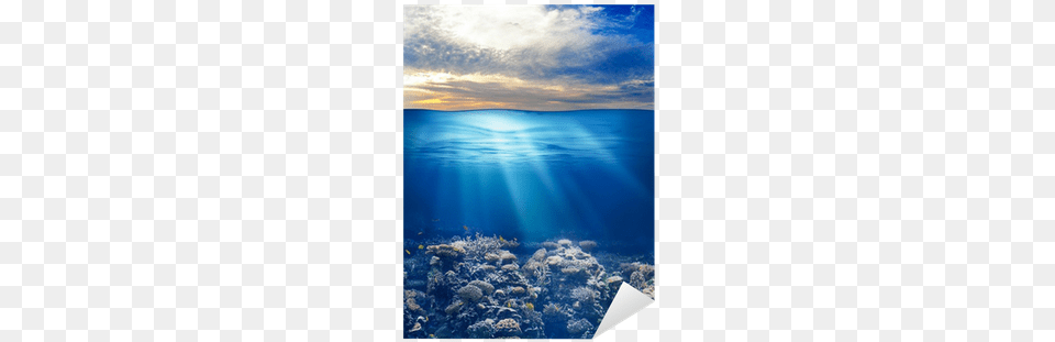 Sea Or Ocean Underwater Life With Sunset Sky Sticker Poetry On Moral Values, Animal, Sea Life, Reef, Outdoors Free Png