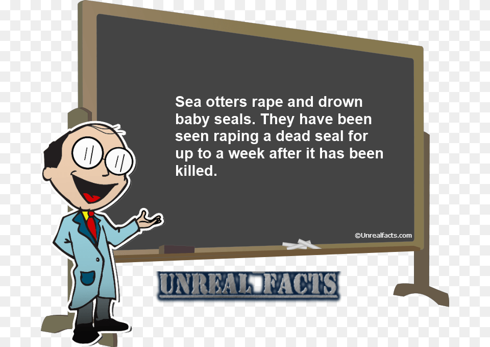 Sea Otter Rape Baby Seal Long Do Koalas Sleep, Blackboard, Person, Head Free Png
