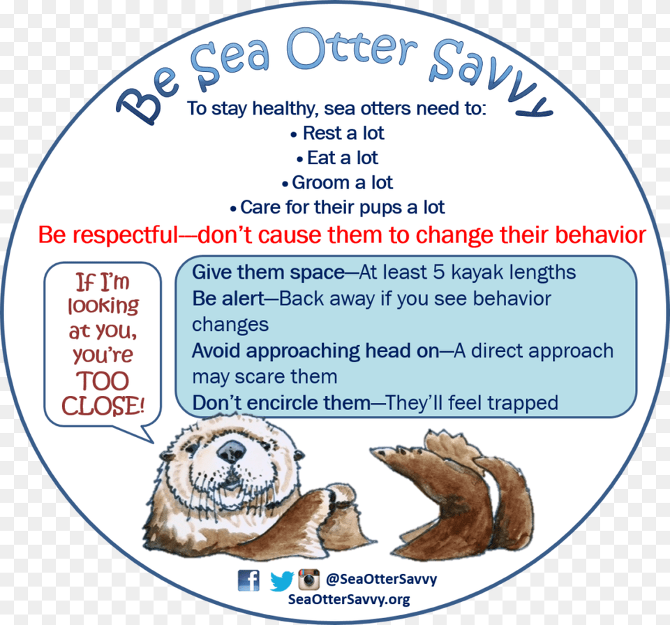 Sea Otter Savvy Morro Bay Sea Otter Savvy Sticker, Animal, Bear, Mammal, Wildlife Free Png Download