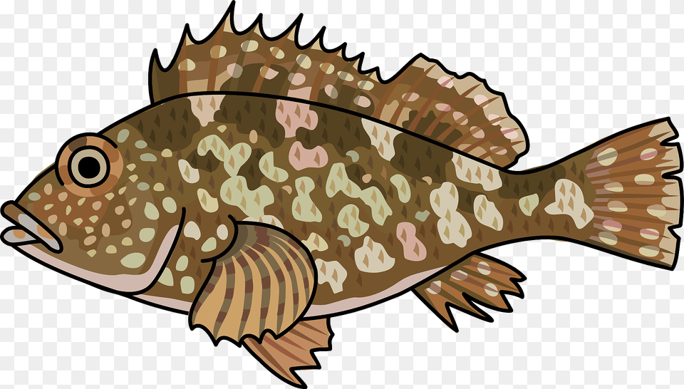 Sea Ruffe Fish Clipart, Animal, Sea Life, Perch, Shark Png