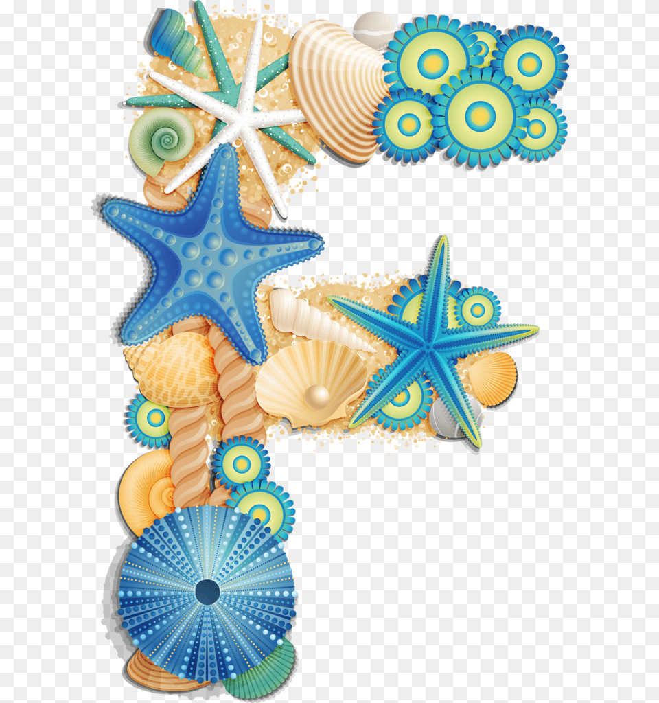 Sea Shell Alphabet O, Animal, Invertebrate, Sea Life, Seashell Free Png