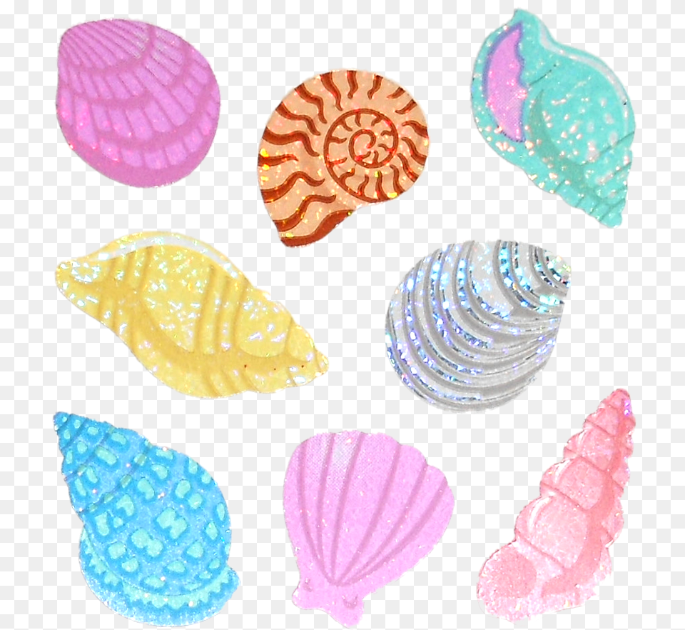 Sea Shell And Sticker Image, Animal, Invertebrate, Sea Life, Seashell Free Png Download