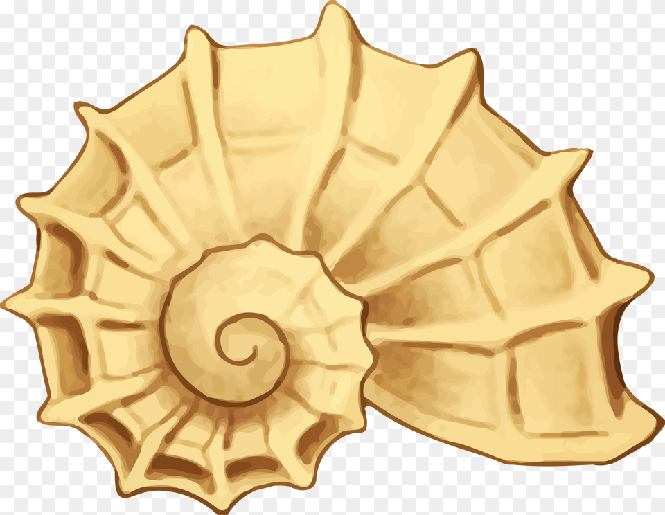 Sea Shell Big Image Clip Art Sea Shell, Animal, Invertebrate, Sea Life, Seashell Free Png