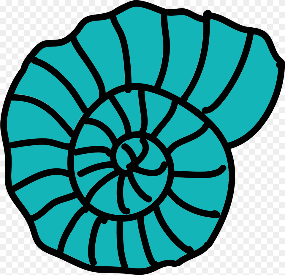 Sea Shell Icon Shell Icons, Animal, Invertebrate, Sea Life, Seashell Free Transparent Png
