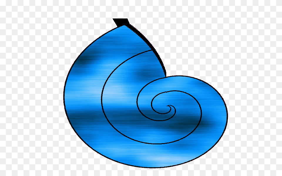 Sea Shells, Spiral, Disk, Animal Png