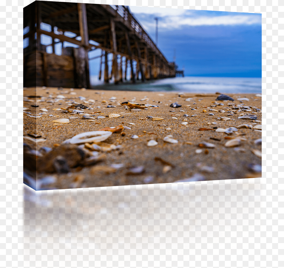 Sea Shells At Newport Pier Sea, Water, Waterfront, Wood Png