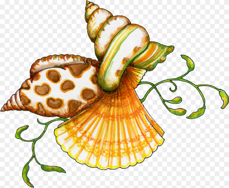 Sea Shells Clip Art, Animal, Invertebrate, Sea Life, Seashell Free Transparent Png