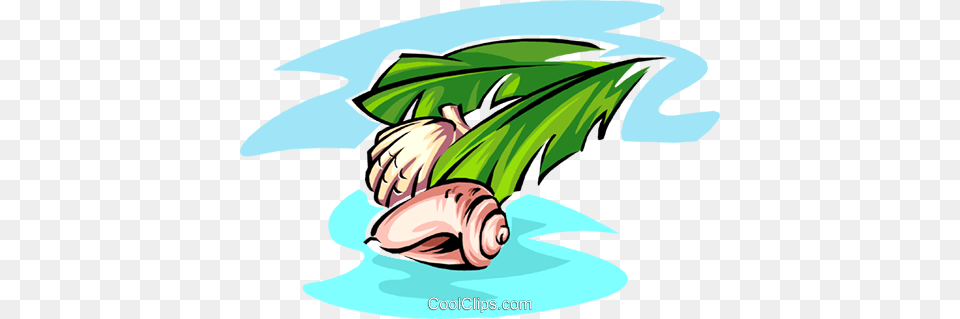 Sea Shells Royalty Vector Clip Art Illustration, Leaf, Plant, Animal, Fish Png