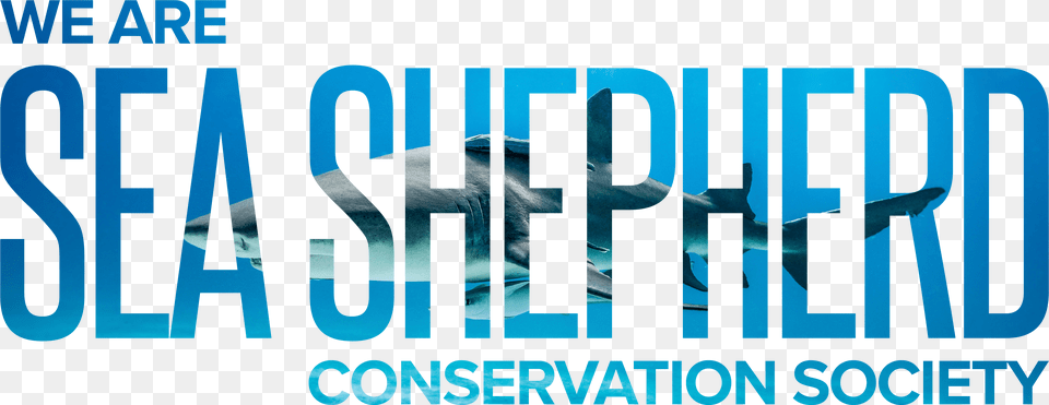 Sea Shepherd Text Graphic Design, Animal, Sea Life Png Image