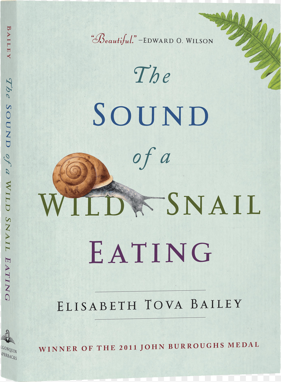 Sea Snail, Animal, Insect, Invertebrate, Book Png
