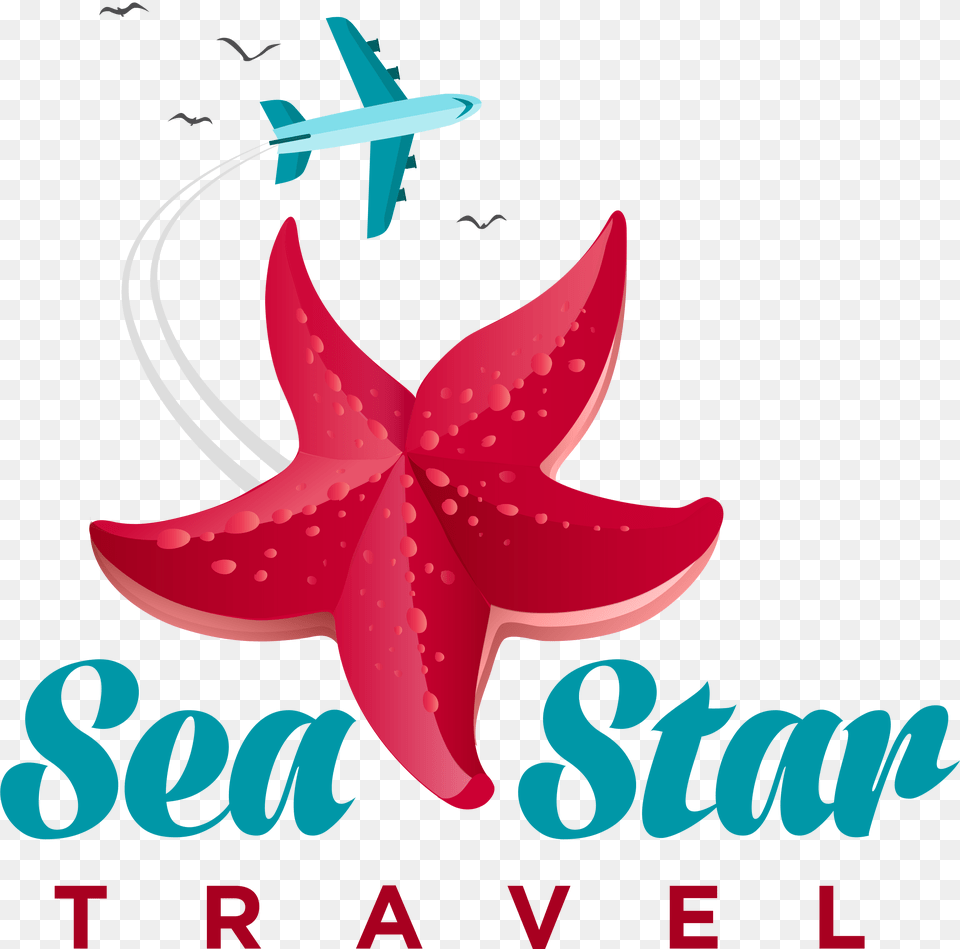 Sea Star, Plant, Flower, Transportation, Aircraft Free Png Download