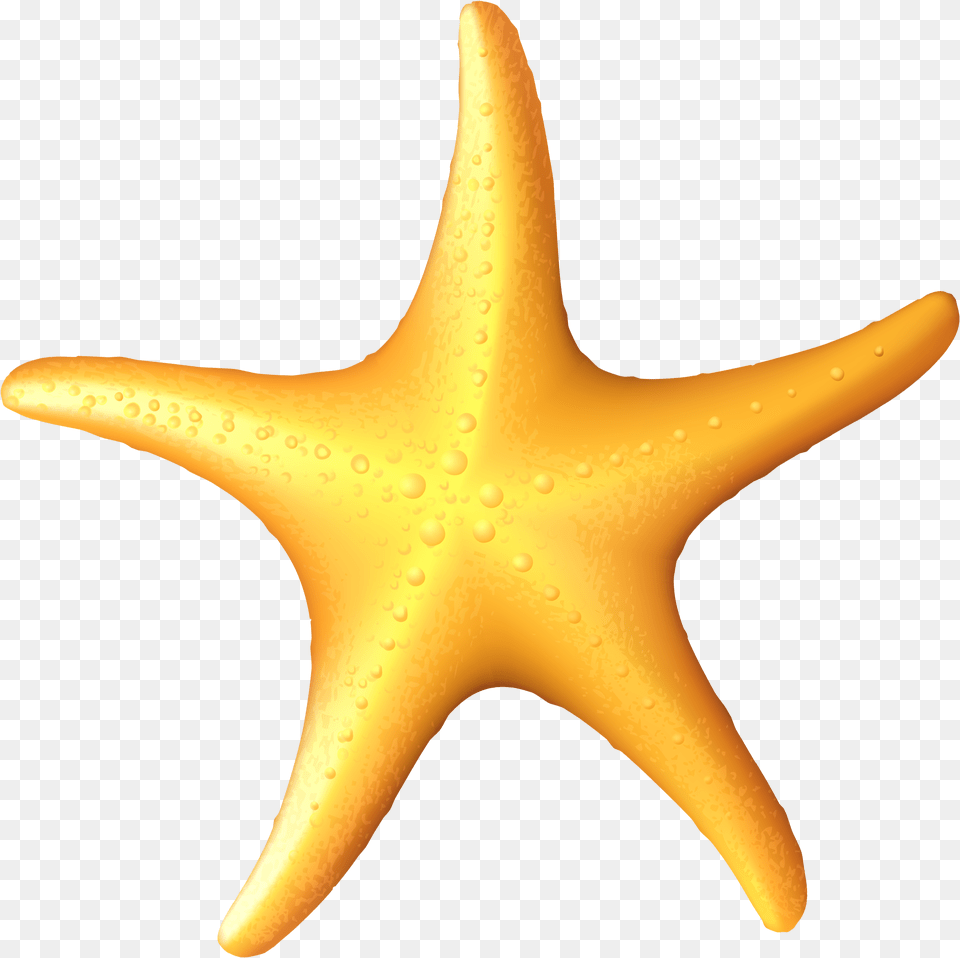 Sea Star Clipart Starfish Image With No Sea Star Clipart, Animal, Sea Life, Invertebrate, Fish Png