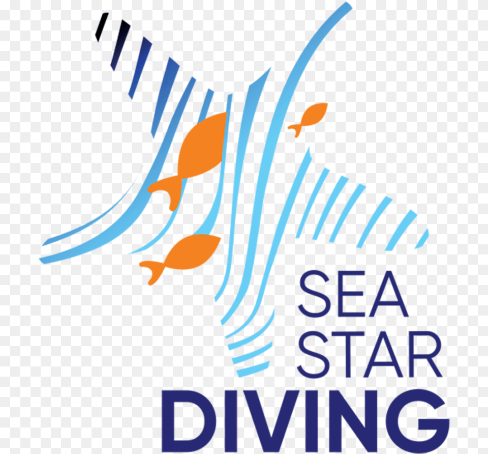 Sea Star Diving Dive Center Thulusdhoo Onlinedivecenter Australian Fossil And Mineral Museum, Art, Graphics, Person, Animal Free Png