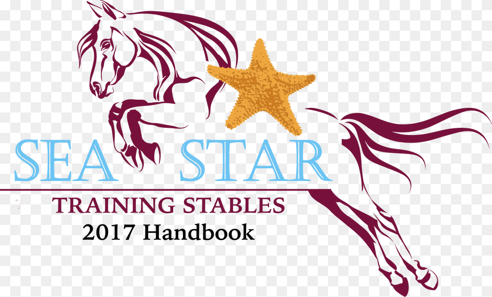 Sea Star Handbook Graphic Design, Symbol, Adult, Animal, Female Png