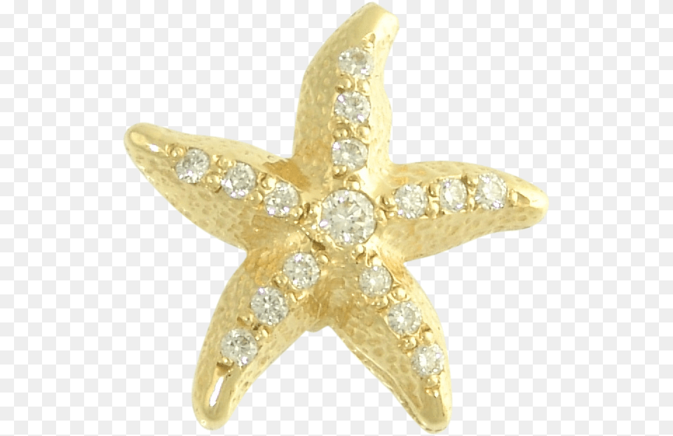 Sea Star High Starfish, Accessories, Diamond, Gemstone, Jewelry Png Image