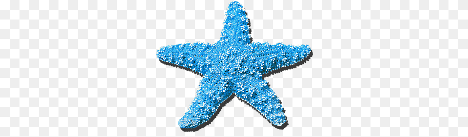 Sea Star Light Blue Yoga Mat Identify Real Life 2d Shapes, Animal, Sea Life, Chandelier, Invertebrate Free Transparent Png