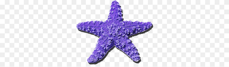 Sea Star Purple Red And White Flag With One Star, Chandelier, Lamp, Animal, Sea Life Free Png