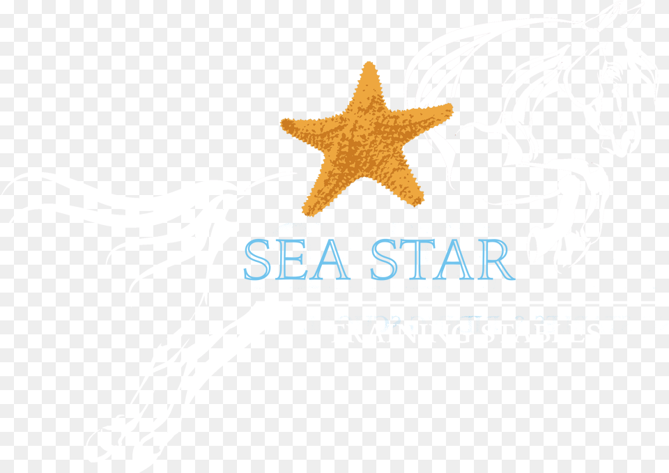 Sea Star Training Stables Stallion, Symbol, Person, Animal, Sea Life Png