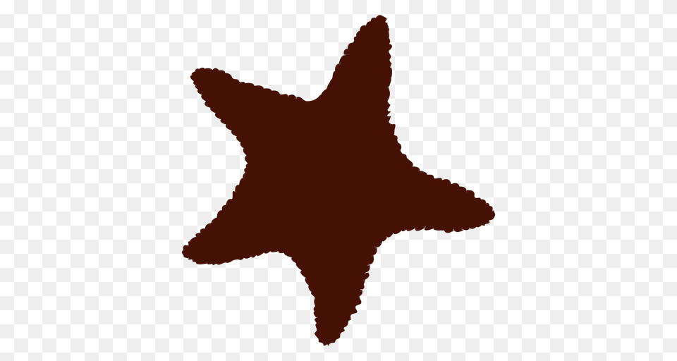 Sea Starfish Silhouette, Animal, Sea Life, Invertebrate, Food Free Png Download