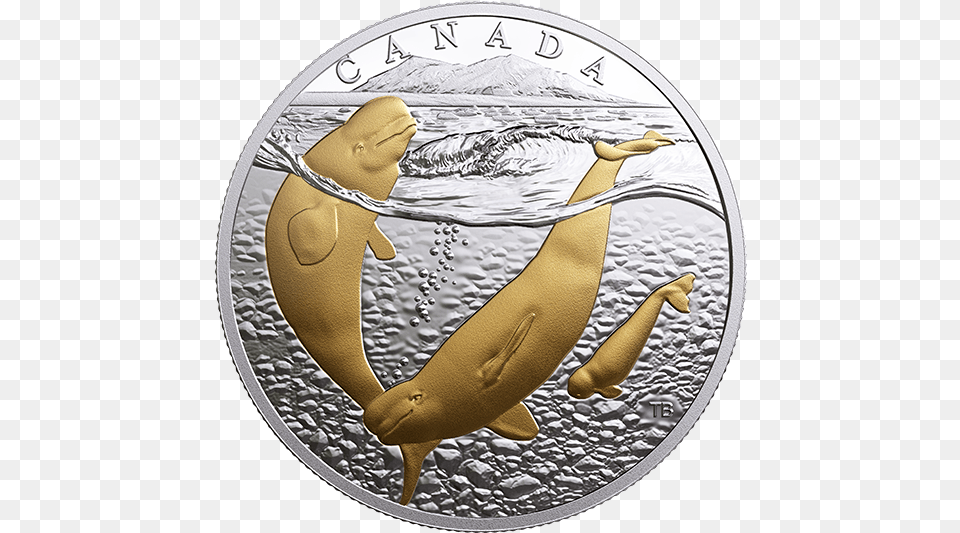 Sea To Sea Coin, Money, Animal, Sea Life Free Transparent Png