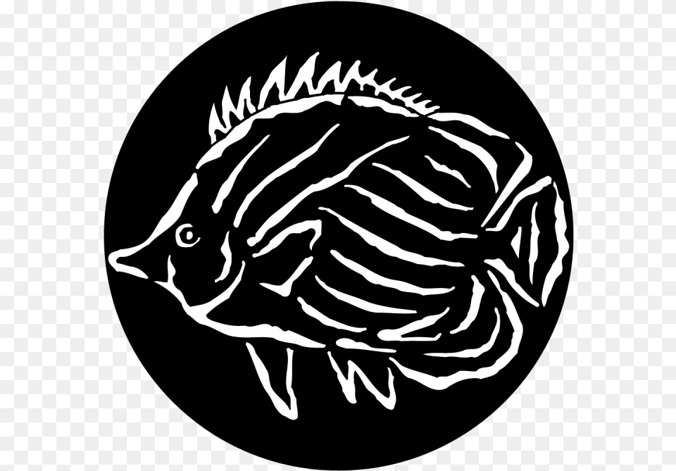 Sea Tropical Fish Gobo Patterns, Animal, Dinosaur, Reptile, Sea Life Png Image