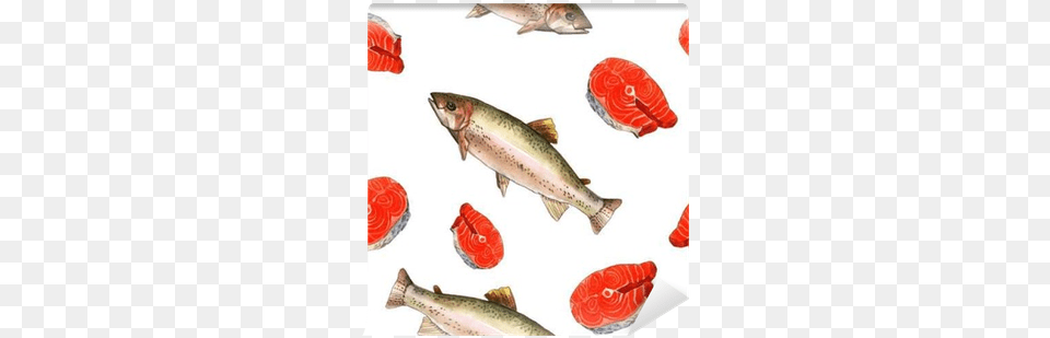 Sea Trout Fish Watercolor Painting, Animal, Sea Life Free Transparent Png