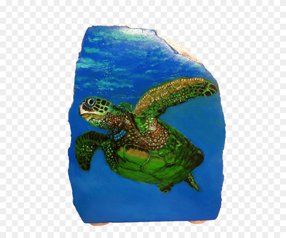 Sea Turtle 175 Loggerhead Sea Turtle, Animal, Reptile, Sea Life, Sea Turtle Free Png Download