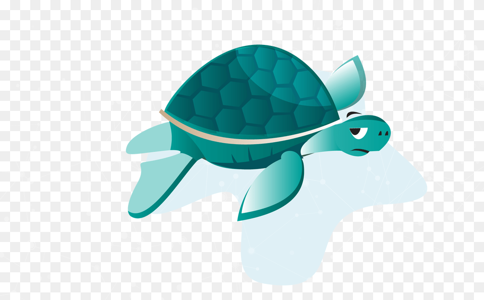 Sea Turtle, Animal, Tortoise, Sea Turtle, Sea Life Free Png Download