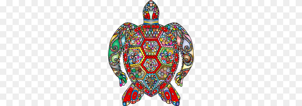 Sea Turtle Art, Accessories, Adult, Female Png Image