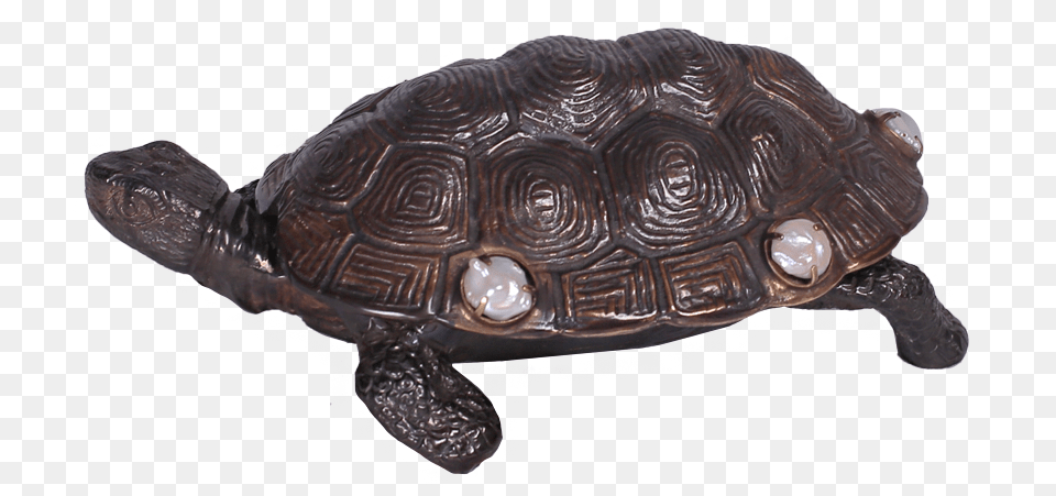 Sea Turtle, Animal, Reptile, Sea Life, Tortoise Free Transparent Png