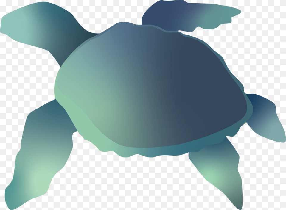 Sea Turtle, Animal, Reptile, Sea Life, Sea Turtle Free Png Download